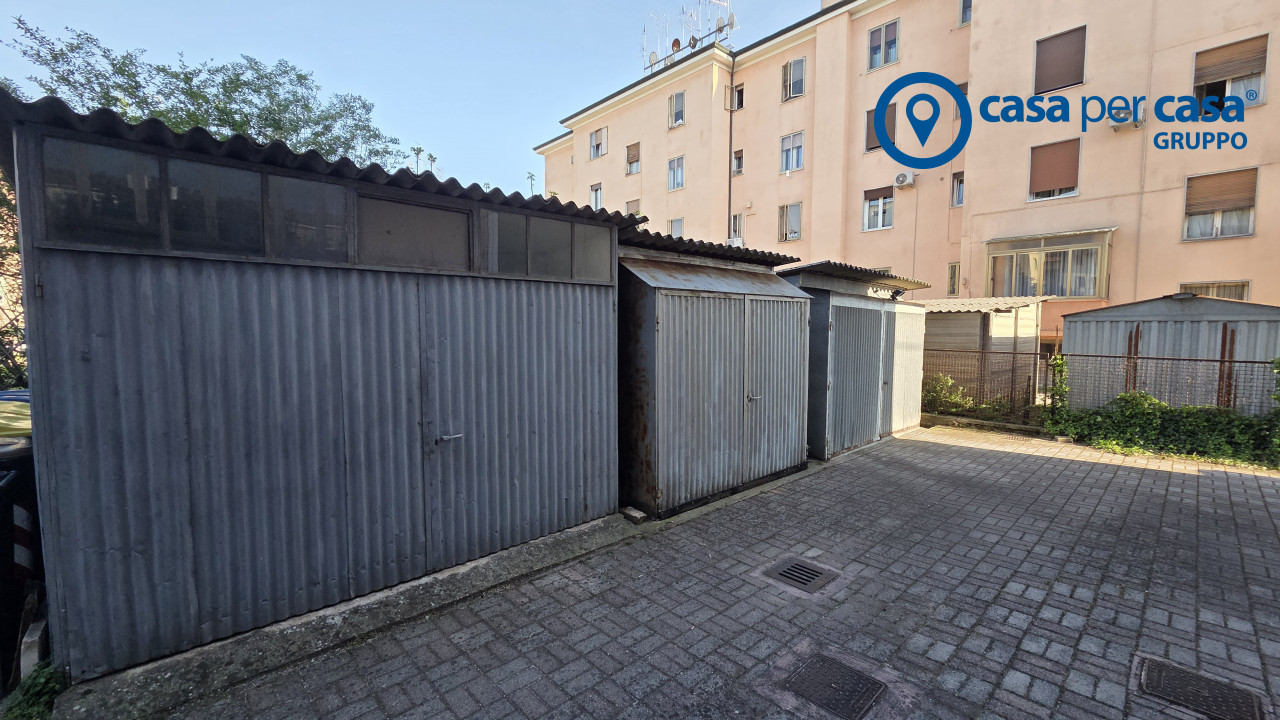 4905381 6